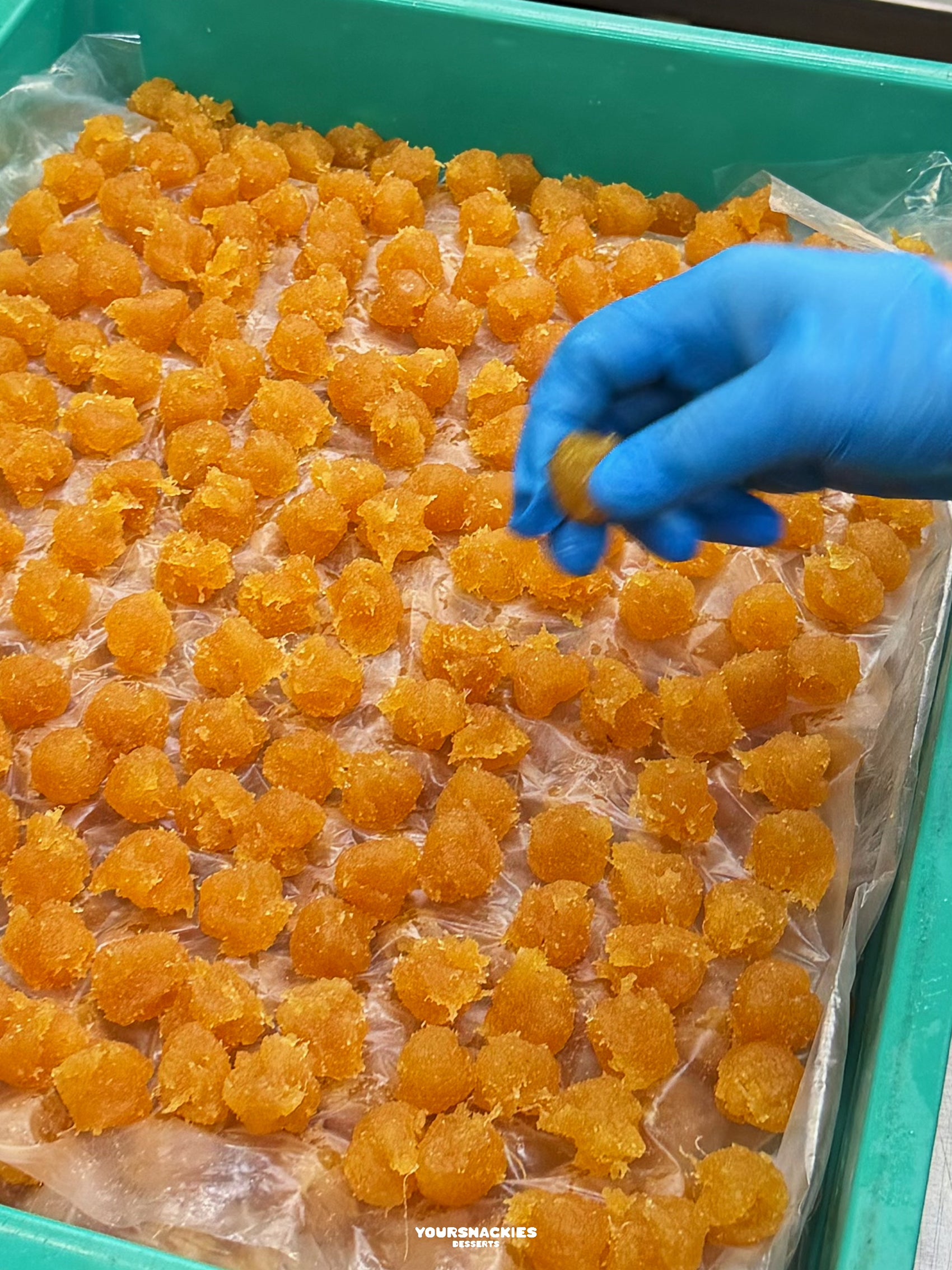 Premium Hojicha Pineapple Tart