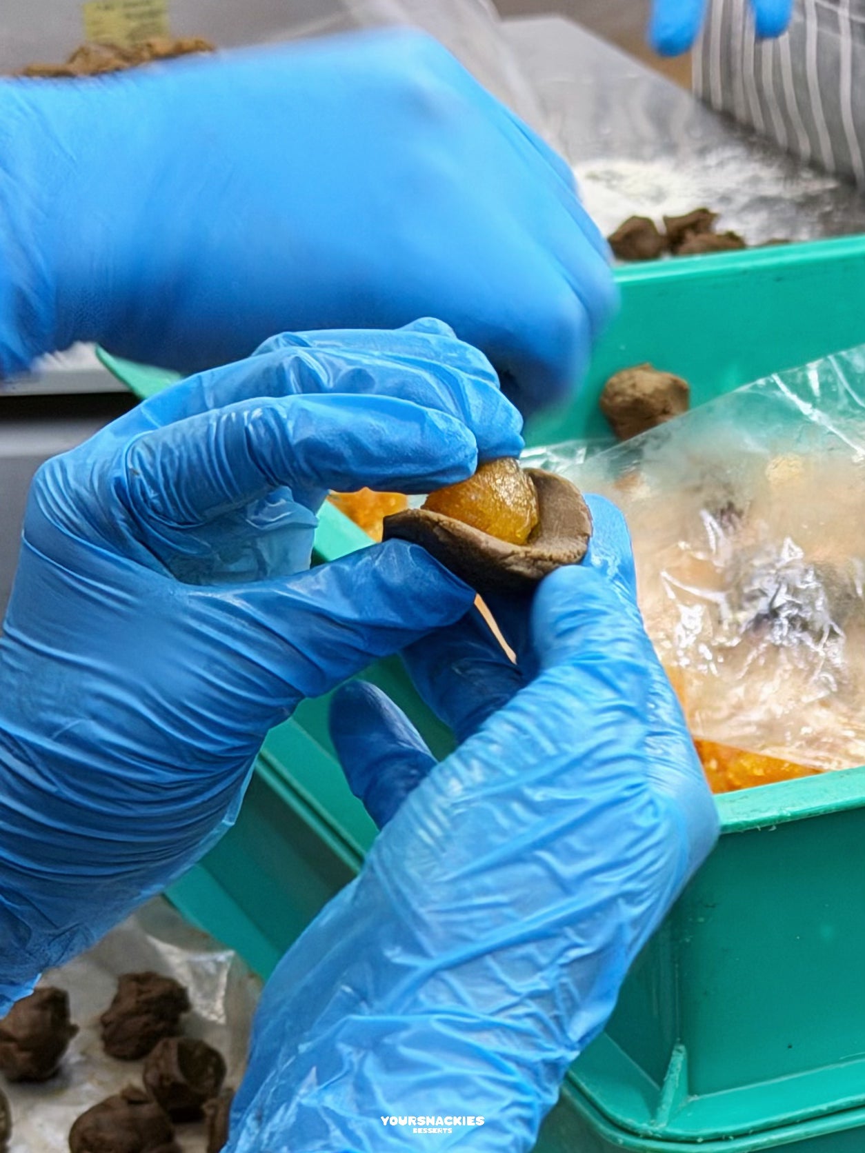 Premium Hojicha Pineapple Tart